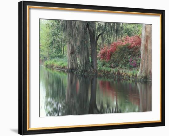 Charleston, South Carolina, USA-Adam Jones-Framed Photographic Print