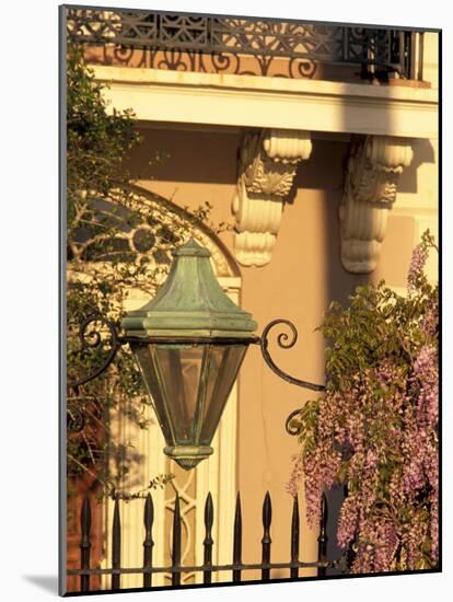 Charleston, South Carolina, USA-Adam Jones-Mounted Photographic Print