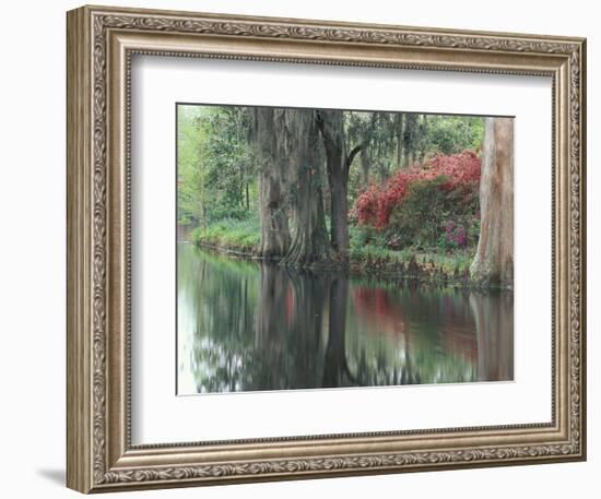 Charleston, South Carolina, USA-Adam Jones-Framed Photographic Print