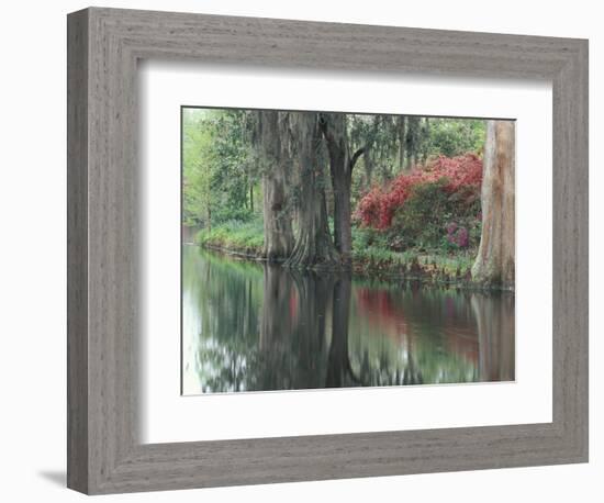 Charleston, South Carolina, USA-Adam Jones-Framed Photographic Print