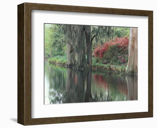 Charleston, South Carolina, USA-Adam Jones-Framed Photographic Print