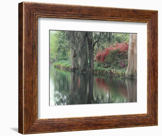 Charleston, South Carolina, USA-Adam Jones-Framed Photographic Print