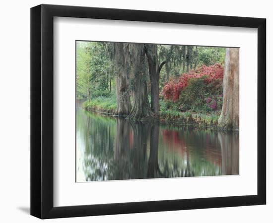 Charleston, South Carolina, USA-Adam Jones-Framed Photographic Print