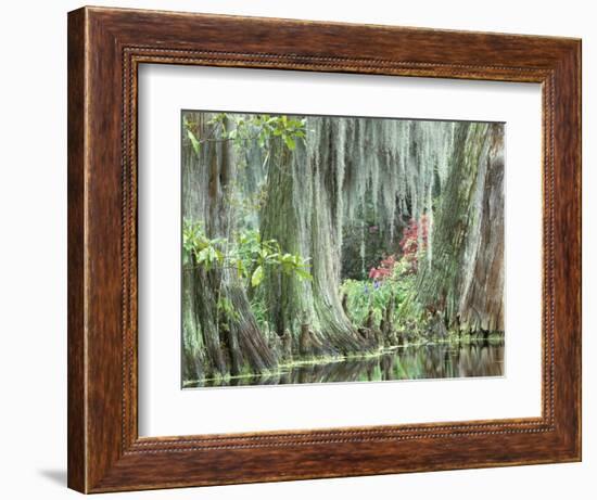 Charleston, South Carolina, USA-Adam Jones-Framed Photographic Print