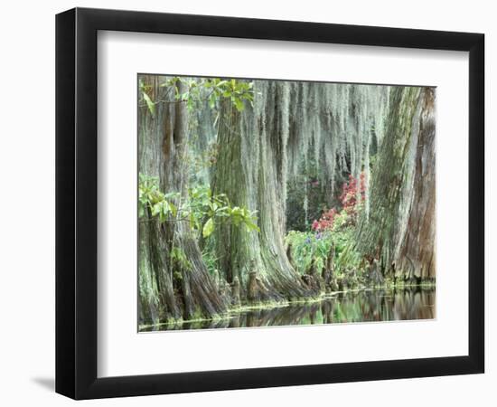 Charleston, South Carolina, USA-Adam Jones-Framed Photographic Print