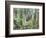 Charleston, South Carolina, USA-Adam Jones-Framed Photographic Print