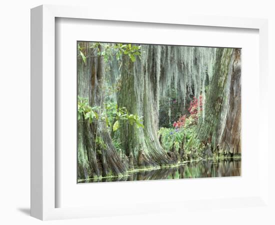 Charleston, South Carolina, USA-Adam Jones-Framed Photographic Print