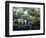 Charleston, South Carolina, USA-Adam Jones-Framed Photographic Print