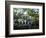 Charleston, South Carolina, USA-Adam Jones-Framed Photographic Print