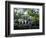 Charleston, South Carolina, USA-Adam Jones-Framed Photographic Print