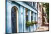 Charleston Street Colors, South Carolina-George Oze-Mounted Photographic Print