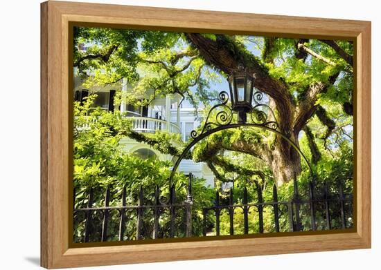 Charleston Villa Garden With Live Oak Tree-George Oze-Framed Premier Image Canvas