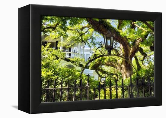 Charleston Villa Garden With Live Oak Tree-George Oze-Framed Premier Image Canvas