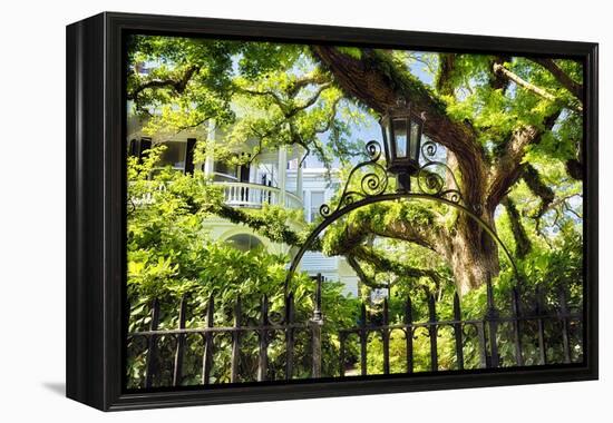 Charleston Villa Garden With Live Oak Tree-George Oze-Framed Premier Image Canvas