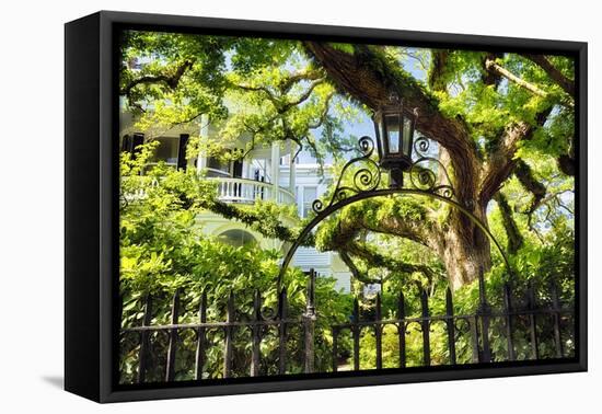 Charleston Villa Garden With Live Oak Tree-George Oze-Framed Premier Image Canvas