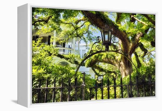 Charleston Villa Garden With Live Oak Tree-George Oze-Framed Premier Image Canvas