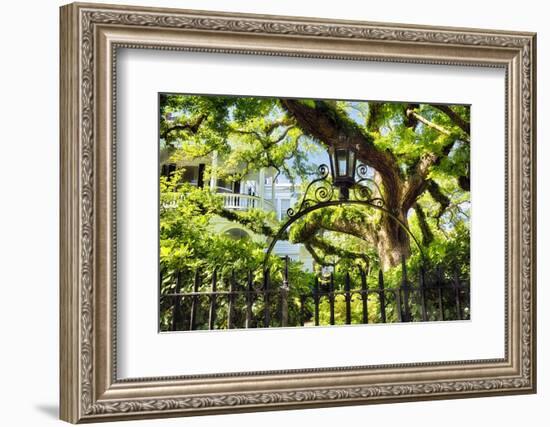 Charleston Villa Garden With Live Oak Tree-George Oze-Framed Photographic Print