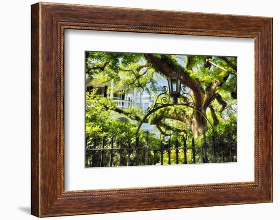 Charleston Villa Garden With Live Oak Tree-George Oze-Framed Photographic Print