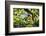 Charleston Villa Garden With Live Oak Tree-George Oze-Framed Photographic Print