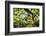 Charleston Villa Garden With Live Oak Tree-George Oze-Framed Photographic Print