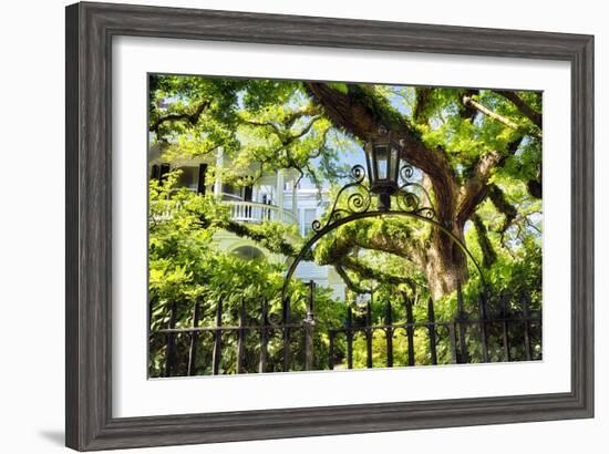 Charleston Villa Garden With Live Oak Tree-George Oze-Framed Photographic Print