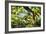 Charleston Villa Garden With Live Oak Tree-George Oze-Framed Photographic Print