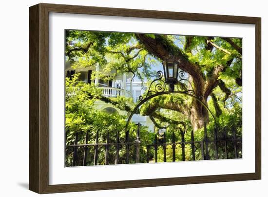 Charleston Villa Garden With Live Oak Tree-George Oze-Framed Photographic Print