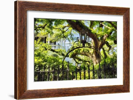 Charleston Villa Garden With Live Oak Tree-George Oze-Framed Photographic Print