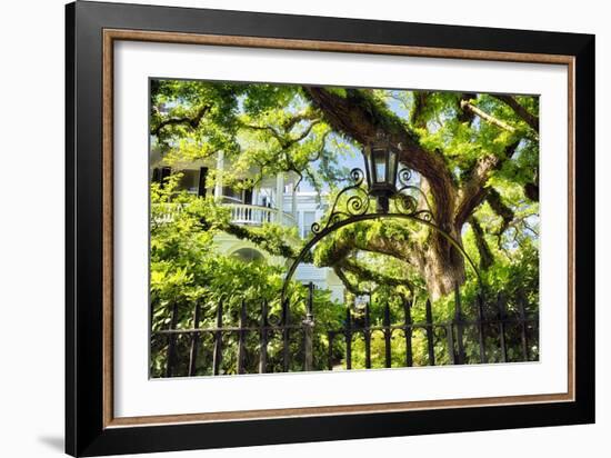 Charleston Villa Garden With Live Oak Tree-George Oze-Framed Photographic Print