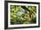 Charleston Villa Garden With Live Oak Tree-George Oze-Framed Photographic Print