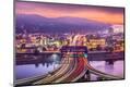 Premium Photographic Print