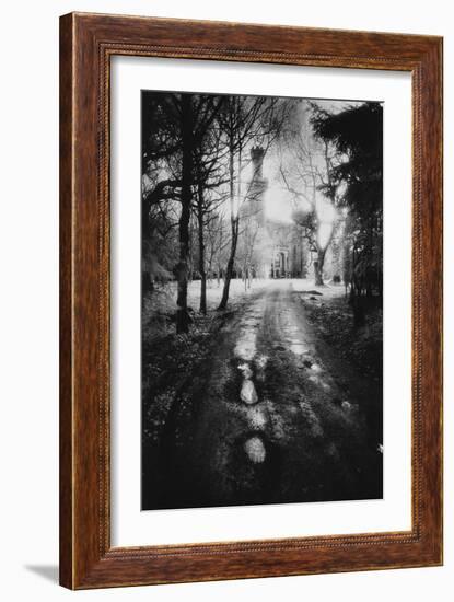 Charleville Forest, County Offaly, Ireland-Simon Marsden-Framed Giclee Print