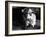 Charlie Chan's Greatest Case, Warner Oland, 1933-null-Framed Photo