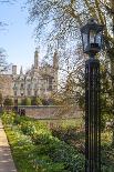 A View of Kings College from the Backs, Cambridge, Cambridgeshire, England, United Kingdom, Europe-Charlie Harding-Photographic Print