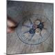Premium Photographic Print