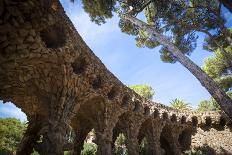 Parc Guell, UNESCO World Heritage Site, Barcelona, Catalonia, Spain, Europe-Charlie Harding-Photographic Print