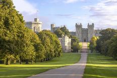 The Long Walk with Windsor Castle in the Background, Windsor, Berkshire, England-Charlie Harding-Framed Photographic Print