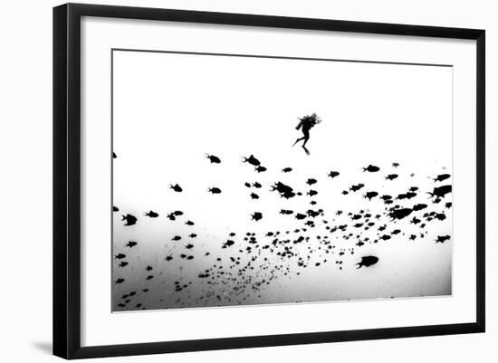 Photographic Print, , large