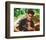 Charlie Sheen - Platoon-null-Framed Photo