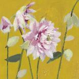 From My Garden - Aquilegia-Charlotte Hardy-Giclee Print