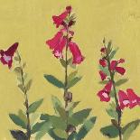 From My Garden - Foxglove-Charlotte Hardy-Giclee Print