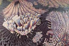 Manhattan from Above, 1994-Charlotte Johnson Wahl-Giclee Print