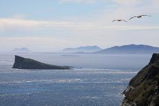 Coastal Cliffs, Falkland Islands-Charlotte Main-Framed Premier Image Canvas