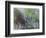 Charlotte Square, Edinburgh-Ann Oram-Framed Giclee Print