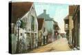 Stretched Canvas Print