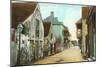 Charlotte Street, St. Augustine, Florida-null-Mounted Art Print