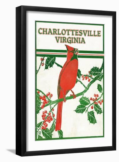 Charlottesville, Virginia - Cardinal Perched on a Holly Branch-Lantern Press-Framed Art Print