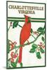 Charlottesville, Virginia - Cardinal Perched on a Holly Branch-Lantern Press-Mounted Art Print