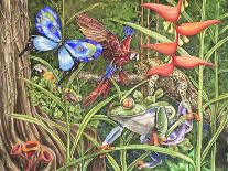 Lovely Butterflies-Charlsie Kelly-Giclee Print