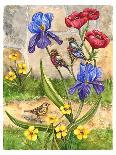 Monarch and Swallowtail-Charlsie Kelly-Giclee Print